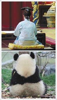 娱乐圈吃瓜群众是谁呀