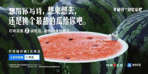 娱乐圈文案吃瓜