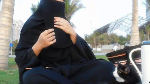 娱乐吃瓜君3,揭秘娱乐圈背后的秘密与八卦